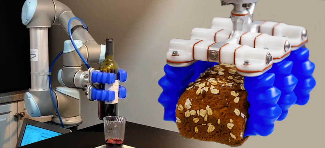 Waypoint Newsletter – Issue 5